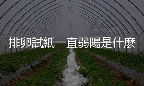 排卵試紙一直弱陽是什麽原因