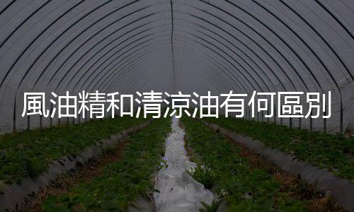 風油精和清涼油有何區別 細數風油精的日常小妙用